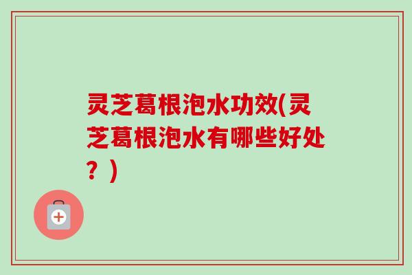 灵芝葛根泡水功效(灵芝葛根泡水有哪些好处？)
