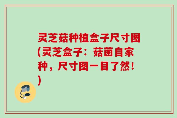 灵芝菇种植盒子尺寸图(灵芝盒子:菇菌自家种,尺寸图一目了然!) 灵芝菇种植盒子尺寸图(灵芝盒子:菇菌自家种,尺寸图一目了然!)