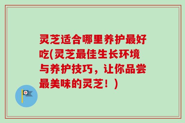 灵芝适合哪里养护好吃(灵芝佳生长环境与养护技巧,让你品尝美味的灵芝!) 灵芝适合哪里养护好吃(灵芝佳生长环境与养护技巧,让你品尝美味的灵芝!)