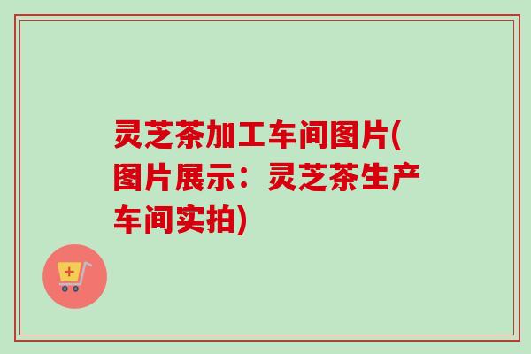 灵芝茶加工车间图片(图片展示:灵芝茶生产车间实拍) 灵芝茶加工车间图片(图片展示:灵芝茶生产车间实拍)