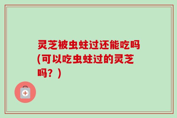 灵芝被虫蛀过还能吃吗(可以吃虫蛀过的灵芝吗?) 灵芝被虫蛀过还能吃吗(可以吃虫蛀过的灵芝吗?)