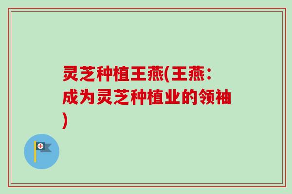 灵芝种植王燕(王燕:成为灵芝种植业的领袖) 灵芝种植王燕(王燕:成为灵芝种植业的领袖)