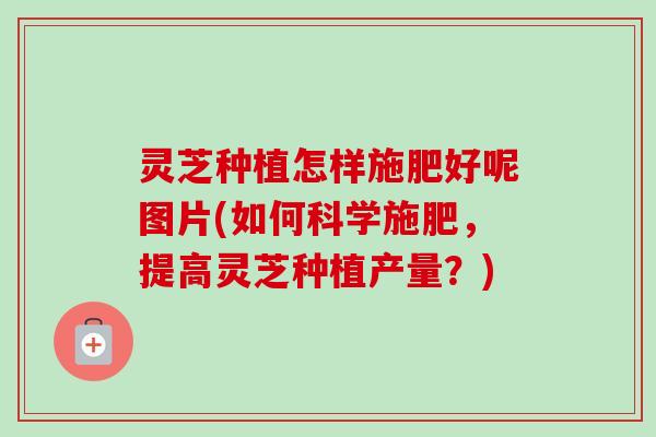 灵芝种植怎样施肥好呢图片(如何科学施肥，提高灵芝种植产量？)