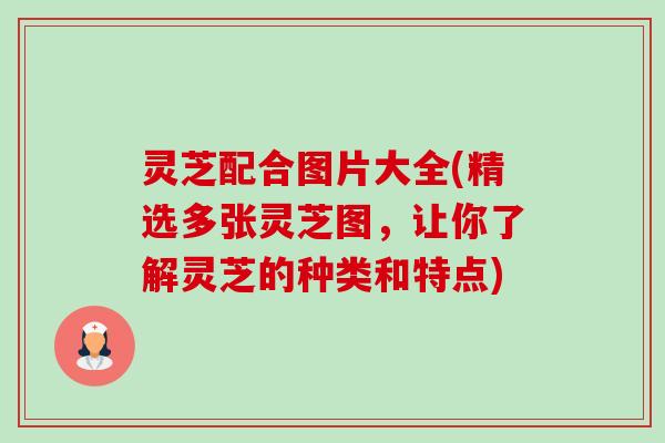 灵芝配合图片大全(精选多张灵芝图,让你了解灵芝的种类和特点) 灵芝配合图片大全(精选多张灵芝图,让你了解灵芝的种类和特点)