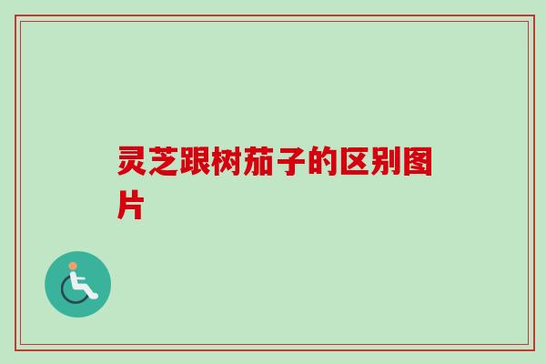 灵芝跟树茄子的区别图片