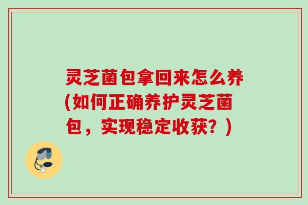 灵芝菌包拿回来怎么养(如何正确养护灵芝菌包,实现稳定收获?) 灵芝菌包拿回来怎么养(如何正确养护灵芝菌包,实现稳定收获?)