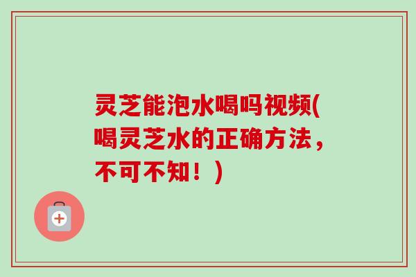 灵芝能泡水喝吗视频(喝灵芝水的正确方法，不可不知！)