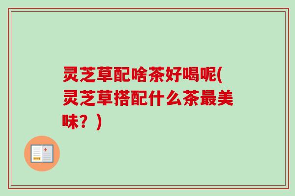 灵芝草配啥茶好喝呢(灵芝草搭配什么茶美味？)