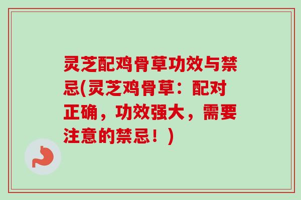 灵芝配鸡骨草功效与禁忌(灵芝鸡骨草:配对正确,功效强大,需要注意的禁忌!) 灵芝配鸡骨草功效与禁忌(灵芝鸡骨草:配对正确,功效强大,需要注意的禁忌!)