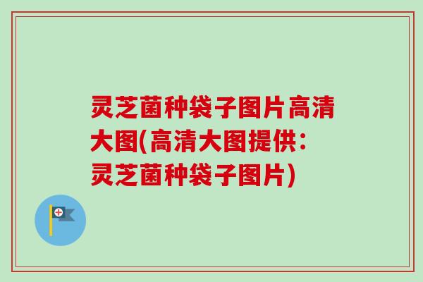 灵芝菌种袋子图片高清大图(高清大图提供:灵芝菌种袋子图片) 灵芝菌种袋子图片高清大图(高清大图提供:灵芝菌种袋子图片)