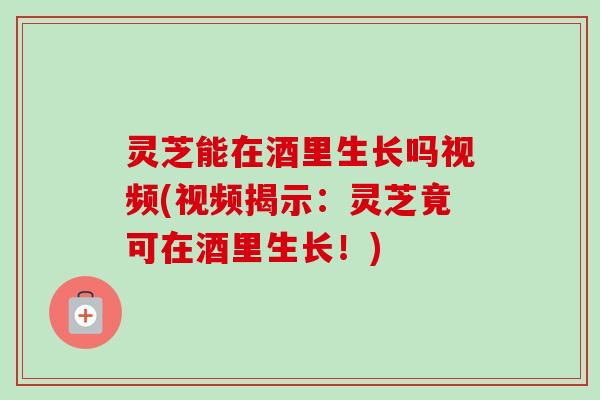 灵芝能在酒里生长吗视频(视频揭示:灵芝竟可在酒里生长!) 灵芝能在酒里生长吗视频(视频揭示:灵芝竟可在酒里生长!)