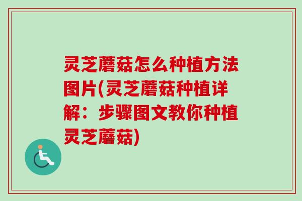 灵芝蘑菇怎么种植方法图片(灵芝蘑菇种植详解：步骤图文教你种植灵芝蘑菇)