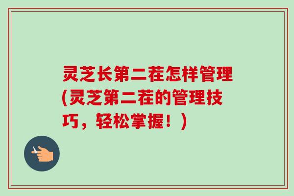 灵芝长第二茬怎样管理(灵芝第二茬的管理技巧，轻松掌握！)