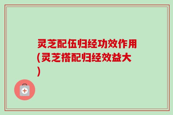 灵芝配伍归经功效作用(灵芝搭配归经效益大)