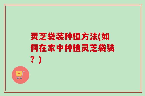 灵芝袋装种植方法(如何在家中种植灵芝袋装?) 灵芝袋装种植方法(如何在家中种植灵芝袋装?)