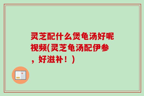 灵芝配什么煲龟汤好呢视频(灵芝龟汤配伊参,好滋补!) 灵芝配什么煲龟汤好呢视频(灵芝龟汤配伊参,好滋补!)
