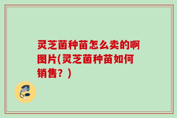 灵芝菌种苗怎么卖的啊图片(灵芝菌种苗如何销售？)