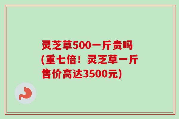 灵芝草500一斤贵吗(重七倍！灵芝草一斤售价高达3500元)