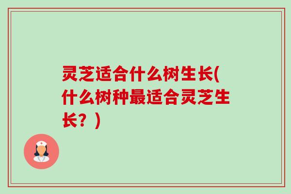 灵芝适合什么树生长(什么树种适合灵芝生长?) 灵芝适合什么树生长(什么树种适合灵芝生长?)