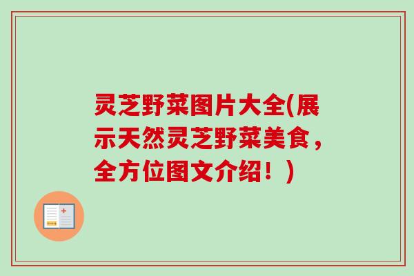 灵芝野菜图片大全(展示天然灵芝野菜美食,全方位图文介绍!) 灵芝野菜图片大全(展示天然灵芝野菜美食,全方位图文介绍!)