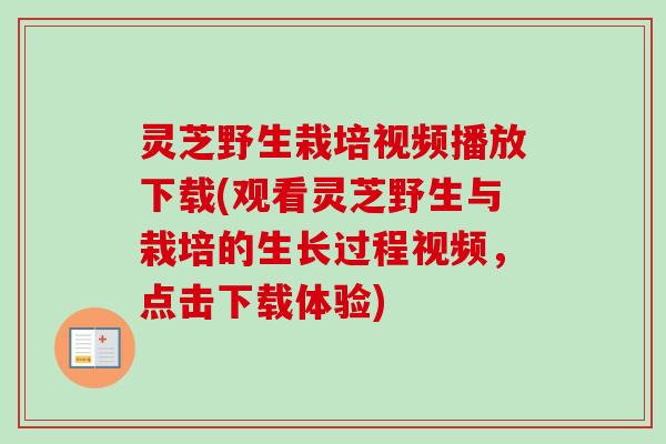 灵芝野生栽培视频播放下载(观看灵芝野生与栽培的生长过程视频,点击下载体验) 灵芝野生栽培视频播放下载(观看灵芝野生与栽培的生长过程视频,点击下载体验)