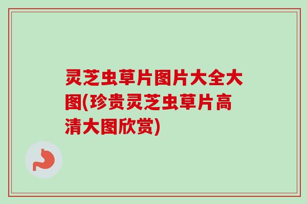 灵芝虫草片图片大全大图(珍贵灵芝虫草片高清大图欣赏) 灵芝虫草片图片大全大图(珍贵灵芝虫草片高清大图欣赏)