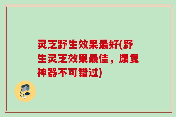 灵芝野生效果好(野生灵芝效果佳,康复神器不可错过) 灵芝野生效果好(野生灵芝效果佳,康复神器不可错过)