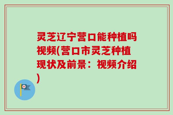灵芝辽宁营口能种植吗视频(营口市灵芝种植现状及前景:视频介绍) 灵芝辽宁营口能种植吗视频(营口市灵芝种植现状及前景:视频介绍)