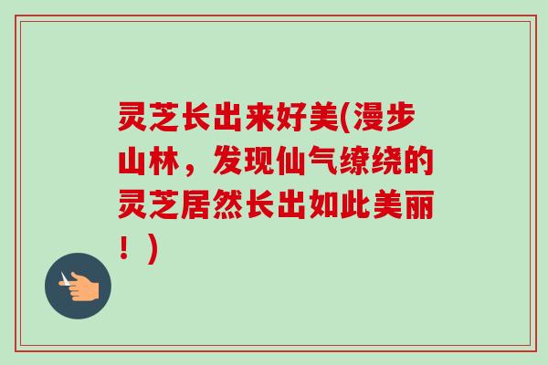 灵芝长出来好美(漫步山林,发现仙气缭绕的灵芝居然长出如此美丽!) 灵芝长出来好美(漫步山林,发现仙气缭绕的灵芝居然长出如此美丽!)