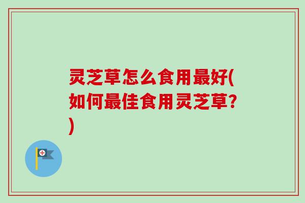 灵芝草怎么食用好(如何佳食用灵芝草？)