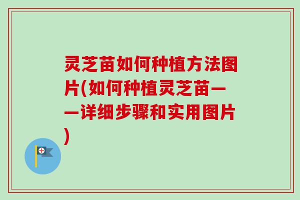 灵芝苗如何种植方法图片(如何种植灵芝苗——详细步骤和实用图片) 灵芝苗如何种植方法图片(如何种植灵芝苗——详细步骤和实用图片)