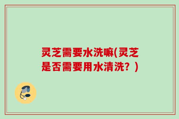 灵芝需要水洗嘛(灵芝是否需要用水清洗？)