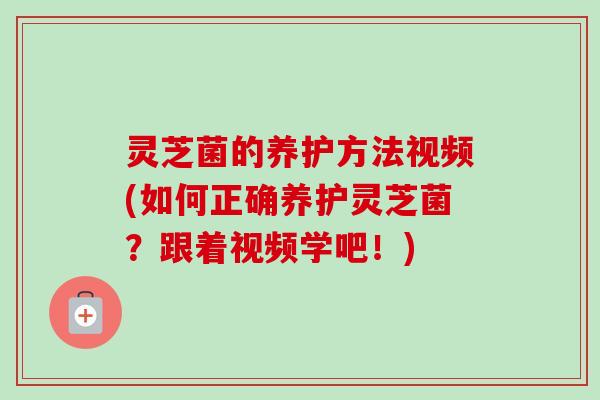 灵芝菌的养护方法视频(如何正确养护灵芝菌？跟着视频学吧！)