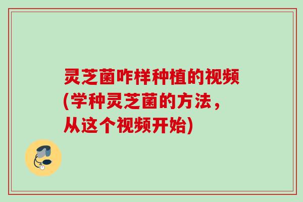 灵芝菌咋样种植的视频(学种灵芝菌的方法,从这个视频开始) 灵芝菌咋样种植的视频(学种灵芝菌的方法,从这个视频开始)