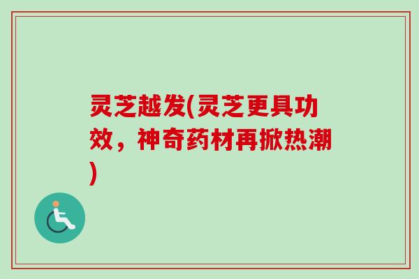 灵芝越发(灵芝更具功效,神奇药材再掀热潮) 灵芝越发(灵芝更具功效,神奇药材再掀热潮)