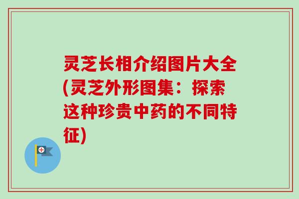 灵芝长相介绍图片大全(灵芝外形图集：探索这种珍贵的不同特征)