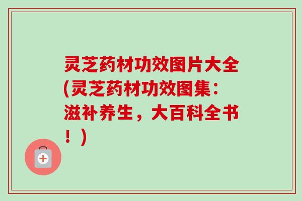 灵芝药材功效图片大全(灵芝药材功效图集：滋补养生，大百科全书！)