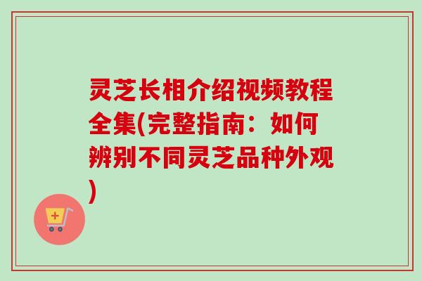 灵芝长相介绍视频教程全集(完整指南:如何辨别不同灵芝品种外观) 灵芝长相介绍视频教程全集(完整指南:如何辨别不同灵芝品种外观)