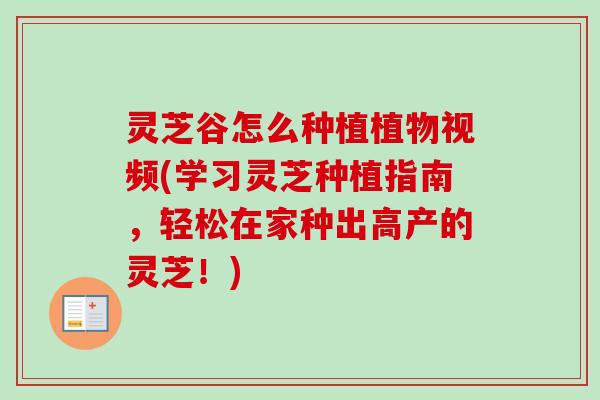 灵芝谷怎么种植植物视频(学习灵芝种植指南，轻松在家种出高产的灵芝！)