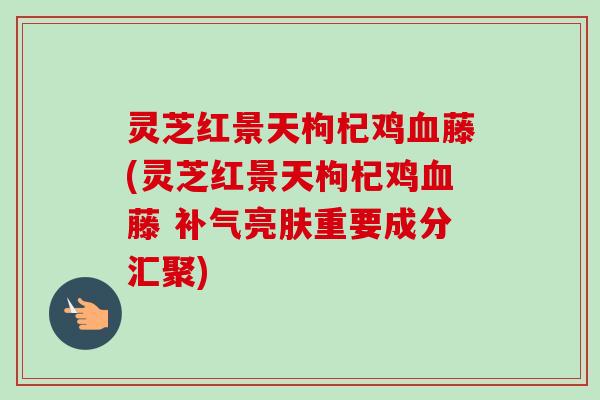 灵芝红景天枸杞鸡藤(灵芝红景天枸杞鸡藤 亮肤重要成分汇聚) 灵芝红景天枸杞鸡藤(灵芝红景天枸杞鸡藤 亮肤重要成分汇聚)