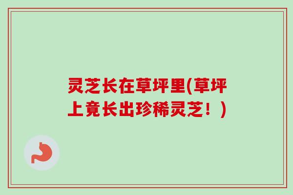 灵芝长在草坪里(草坪上竟长出珍稀灵芝!) 灵芝长在草坪里(草坪上竟长出珍稀灵芝!)