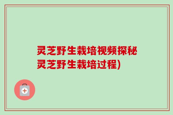 灵芝野生栽培视频探秘灵芝野生栽培过程)
