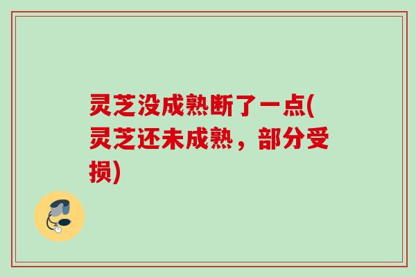 灵芝没成熟断了一点(灵芝还未成熟,部分受损) 灵芝没成熟断了一点(灵芝还未成熟,部分受损)