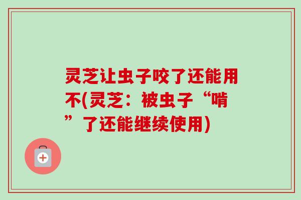 灵芝让虫子咬了还能用不(灵芝:被虫子“啃”了还能继续使用) 灵芝让虫子咬了还能用不(灵芝:被虫子“啃”了还能继续使用)