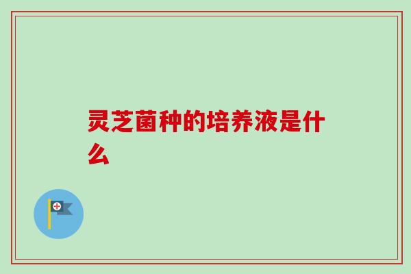 灵芝菌种的培养液是什么
