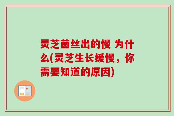 灵芝菌丝出的慢 为什么(灵芝生长缓慢,你需要知道的原因) 灵芝菌丝出的慢 为什么(灵芝生长缓慢,你需要知道的原因)