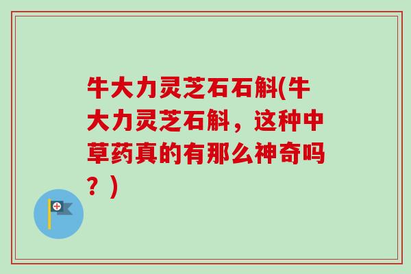 牛大力灵芝石石斛(牛大力灵芝石斛,这种中草药真的有那么神奇吗?) 牛大力灵芝石石斛(牛大力灵芝石斛,这种中草药真的有那么神奇吗?)