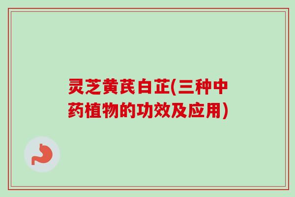 灵芝黄芪白芷(三种植物的功效及应用)