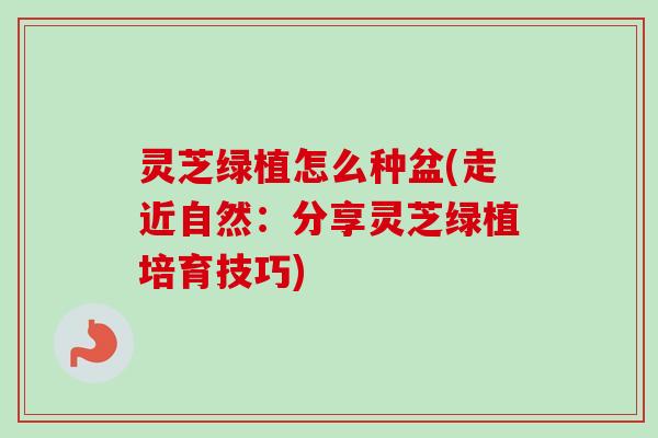 灵芝绿植怎么种盆(走近自然：分享灵芝绿植培育技巧)