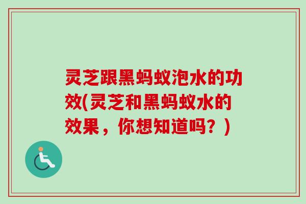 灵芝跟黑蚂蚁泡水的功效(灵芝和黑蚂蚁水的效果,你想知道吗?) 灵芝跟黑蚂蚁泡水的功效(灵芝和黑蚂蚁水的效果,你想知道吗?)